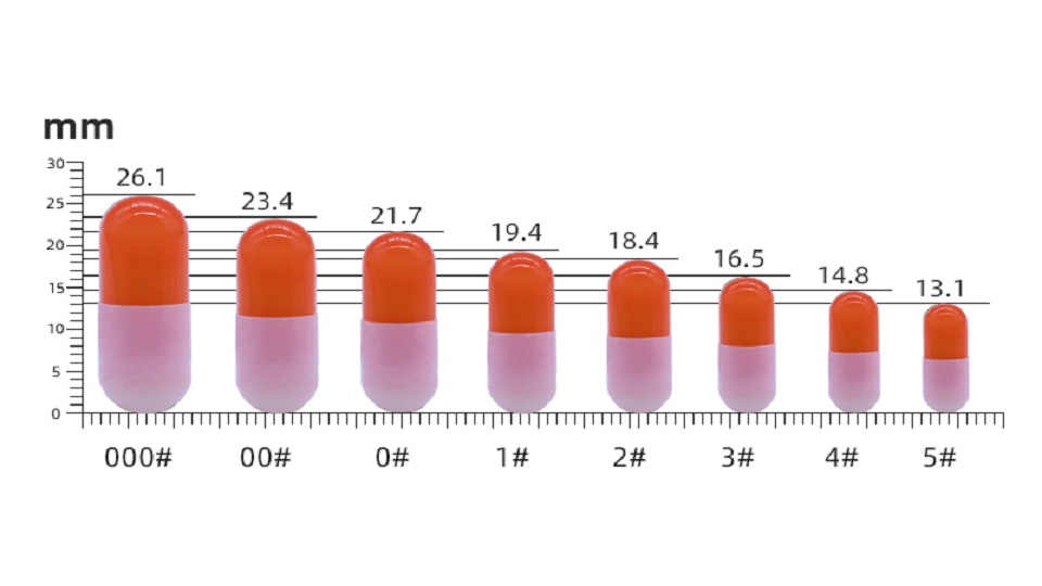 Different Capsule Sizes